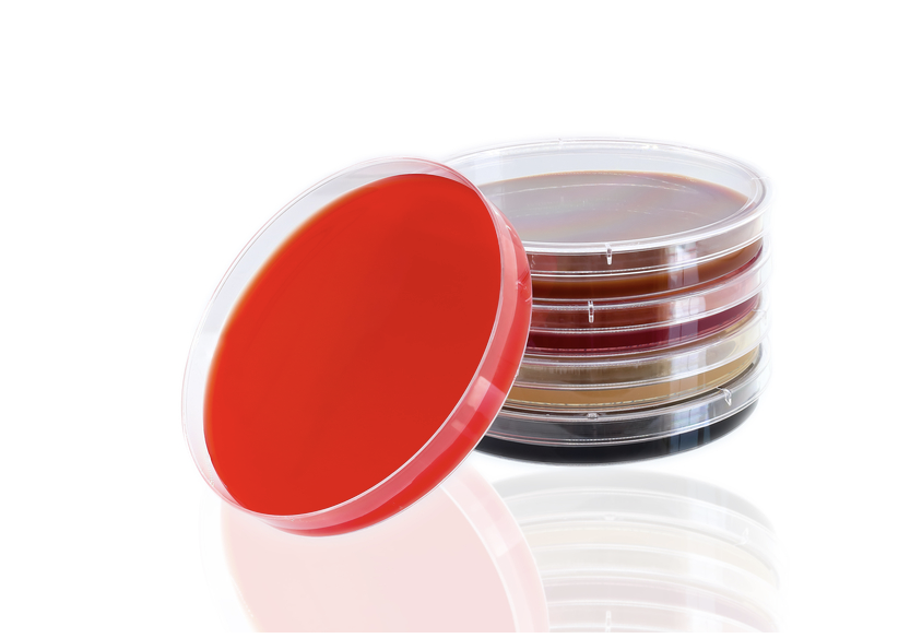 Standard Petri dishes